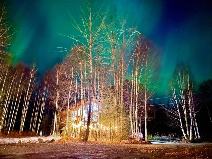 Riverfront, Authentic, Luxury Log Cabin-Bison