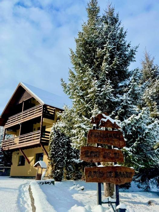 Zori de Zi & Apus de Soare