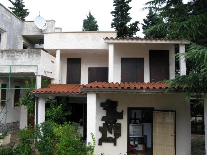 Art Vila Opacic
