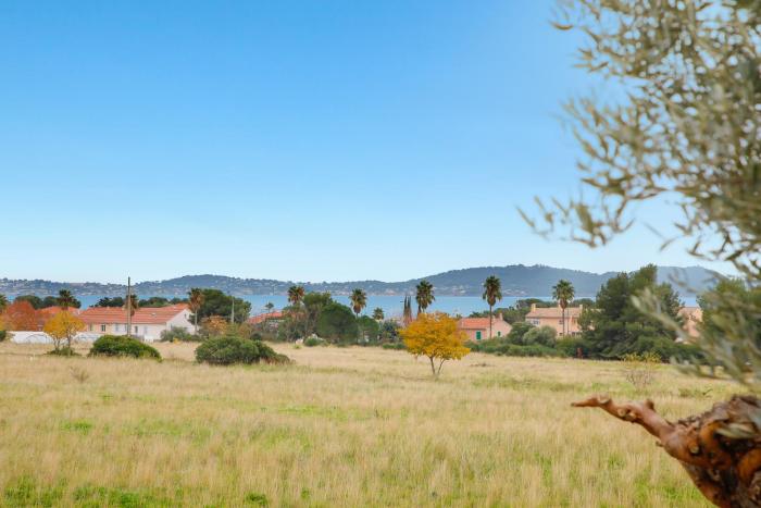 Le petit Sud