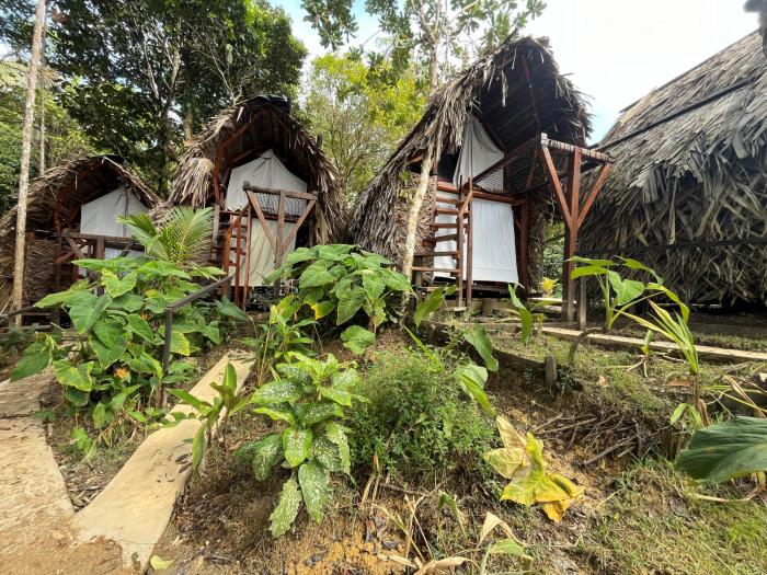 HostelyGlampingNativo