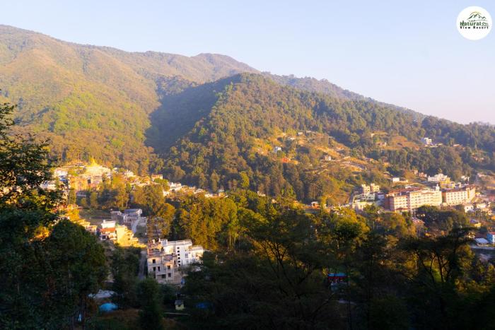 Natural View Resort