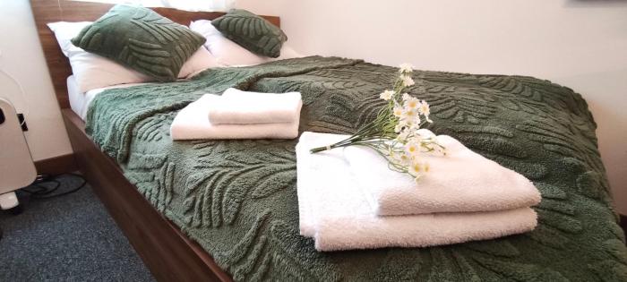 Daisy Apart SKI OUT SKI IN Vila Bela Reka Brzece