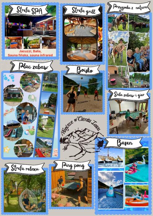 Wzgórze w Cieniu Lasu