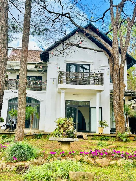 Snghes Măng Đen Villa