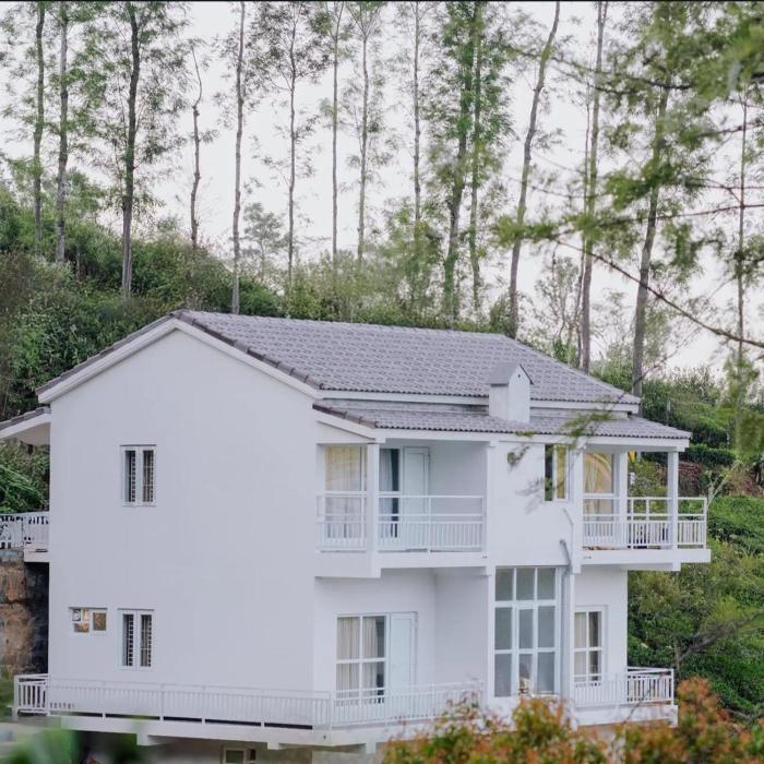 Prithivee Homestay