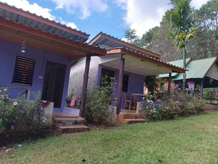 โบว์ โฮมสเตย์ปางอุ๋ง