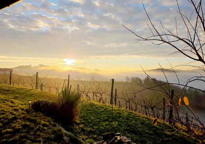 Jacuzzi & Vineyard Retreat