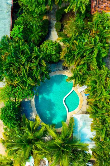 Selva Partners Tamarindo