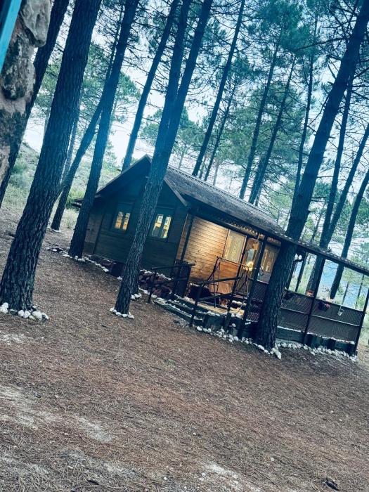 Cabaña Ananda Río Mundo