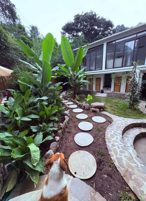 The Hidden Garden Apartments