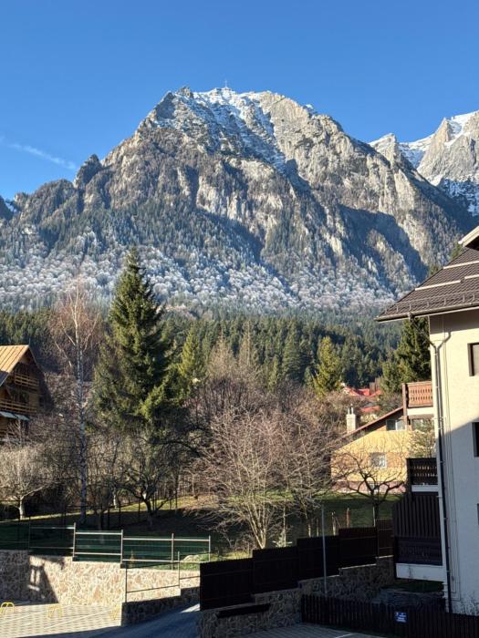 The View Apartment 4 Busteni