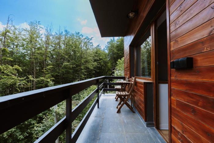 Apartament in Vila cu Balcon - Vedere Munte