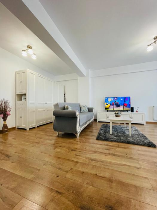 Elegance apartament for family