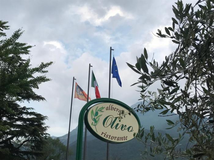 Olivo