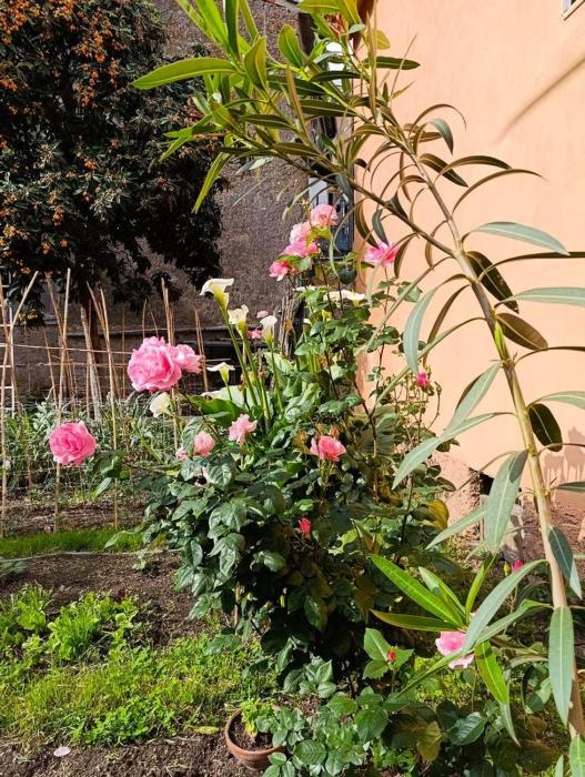 Il giardino di Borgo Nuovo