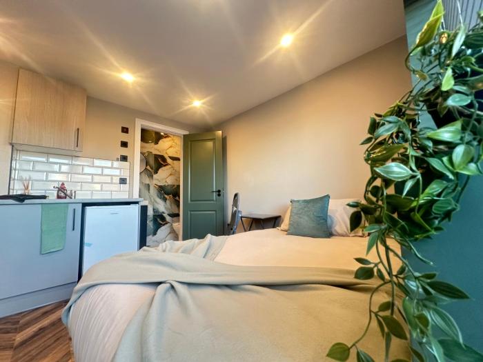 4 Modern NEW Mini Studio Room with Parking, Wi-Fi