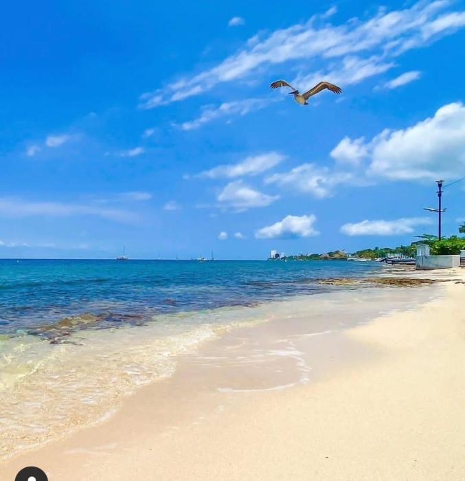 Estudio en Cozumel con vista al mar A1