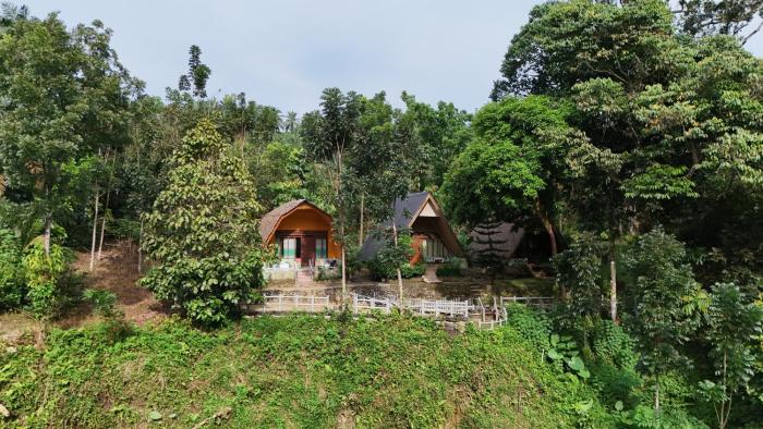 Green Forest Tangkahan