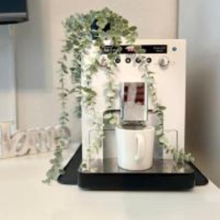 Wohlfühl Strand Wohnung Mein Ankerplatz