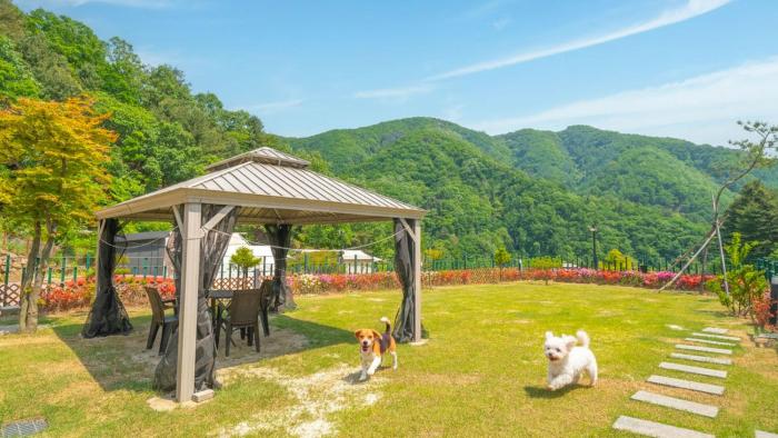 Gapyeong camp with pet & aegyeonglamping