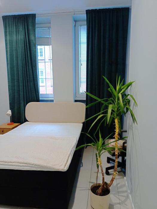 Ciche Studio nad Motławą