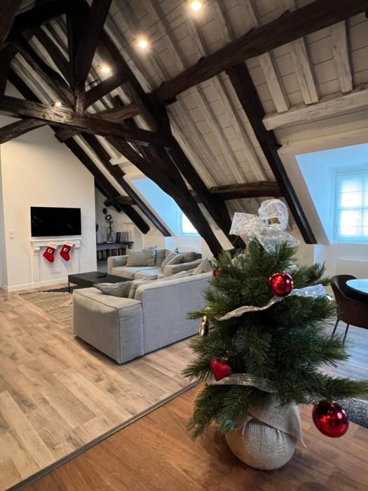 Le Laurencin Sens - Le Family - Cœur de ville