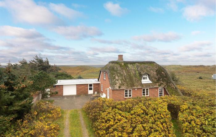 3 Bedroom Beach Front Home In Blåvand