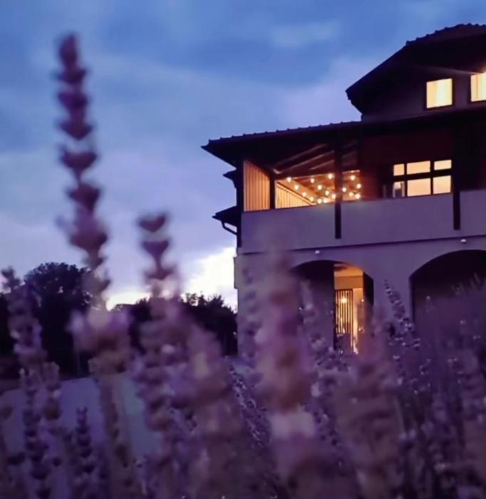 Vineyard Home 02 by GREEN Croatia