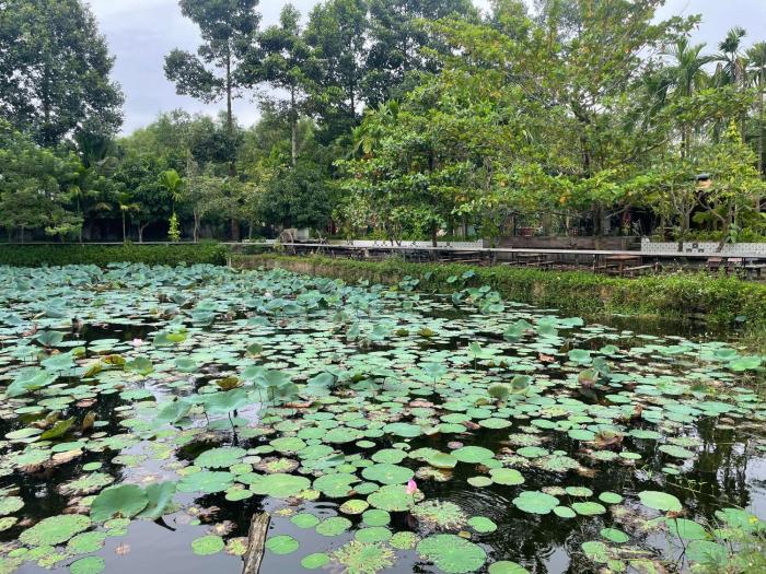 Nhà Sen Phước Hải