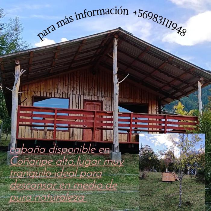 Cabaña Buena vista