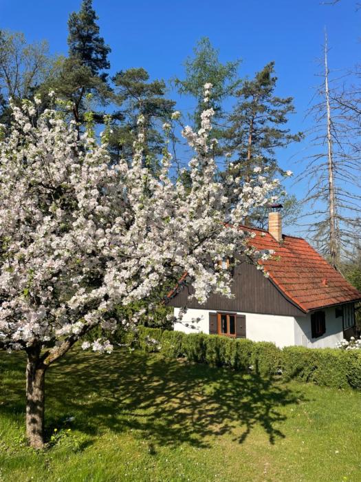 Chata nad řekou Otavou