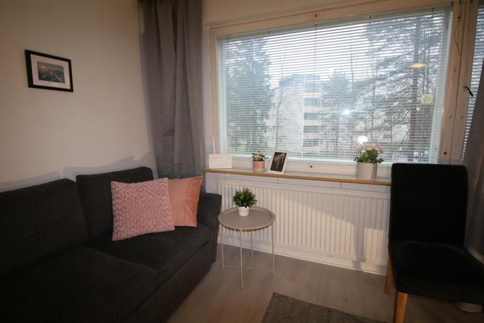 Scandinavian-Style Apartment