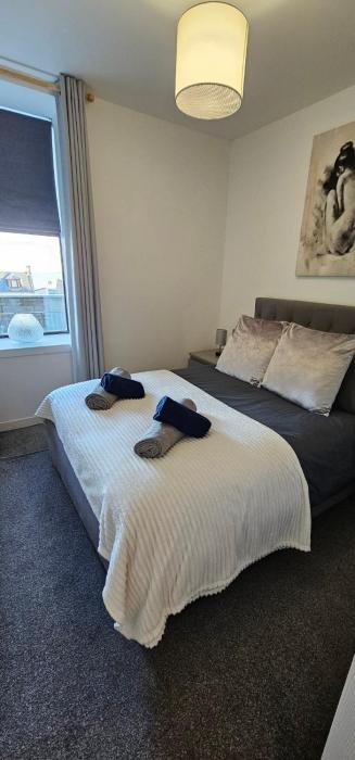 Rook View, Modern Coastal Retreat with Free Parking