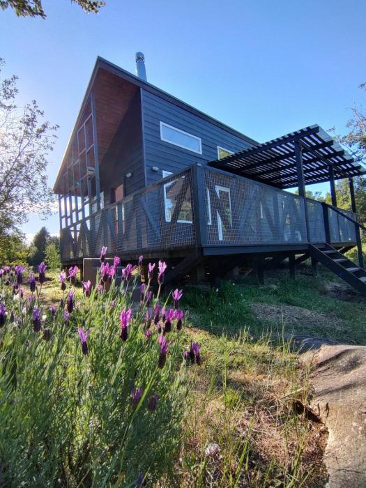 Tiny House rodeada de bosque nativo