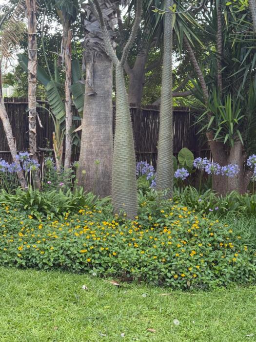 La Bushka Guesthouse