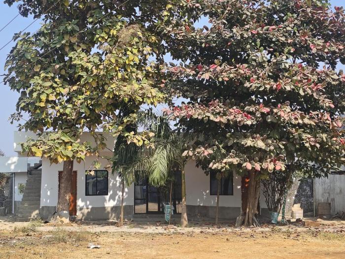 Marrion Blue - The Eco Paradise