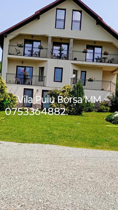 Vila Puiu Borsa MM
