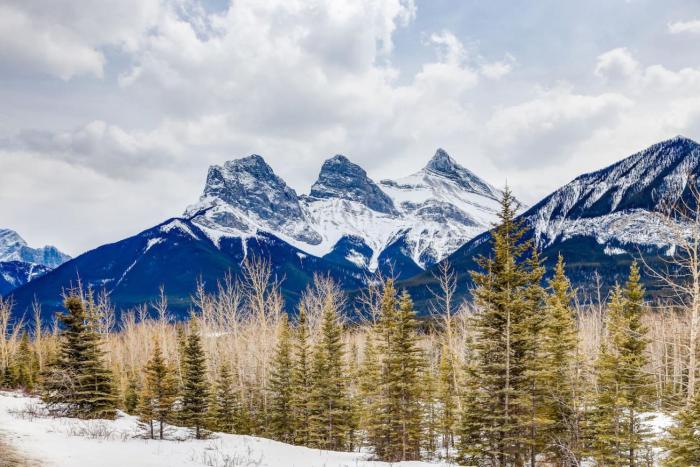 Cozy getaway for exploring Canmore and Banff