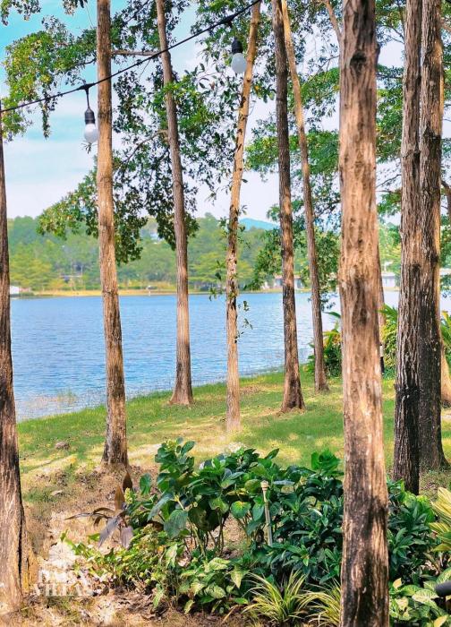 Biệt thự bên hồ R341 - Lakeview Flamingo Đại Lải