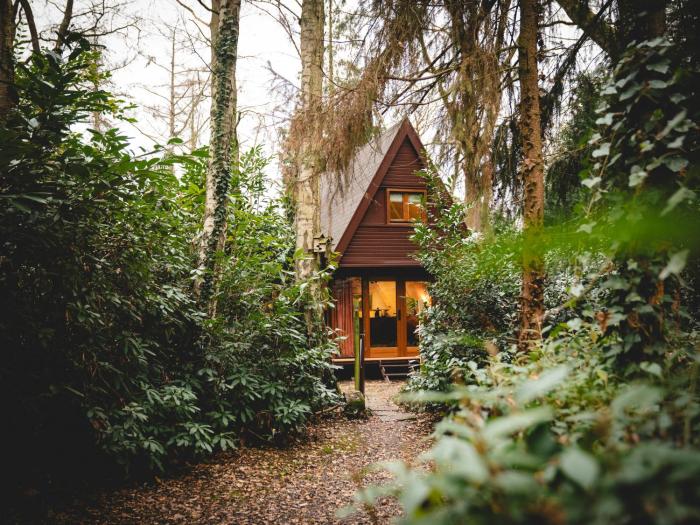 Boshuisje Rekem - Sylva