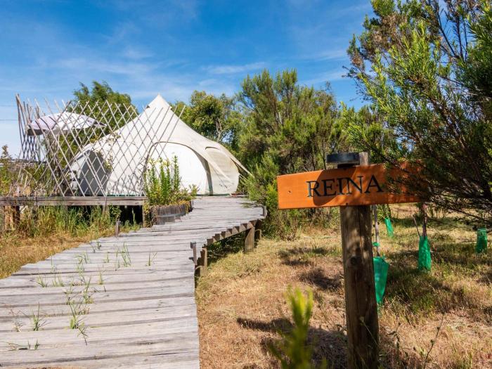 La Colmena Glamping Reina