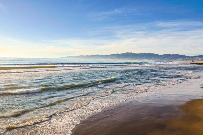 Amazing Berryman 1bd#8