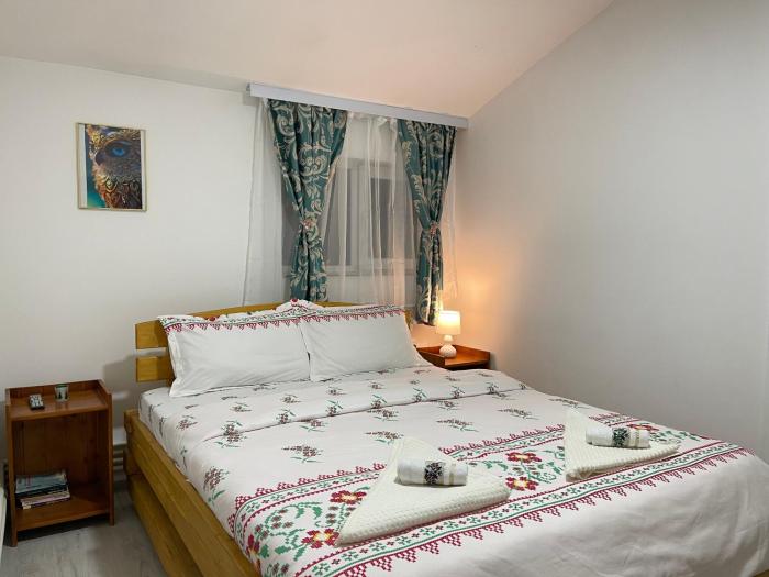 Casa Petrica Toplița