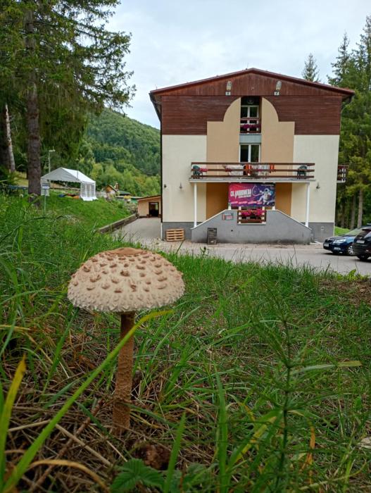 Horský Hotel Magura