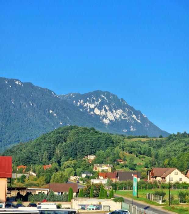 Mountain View Apartment