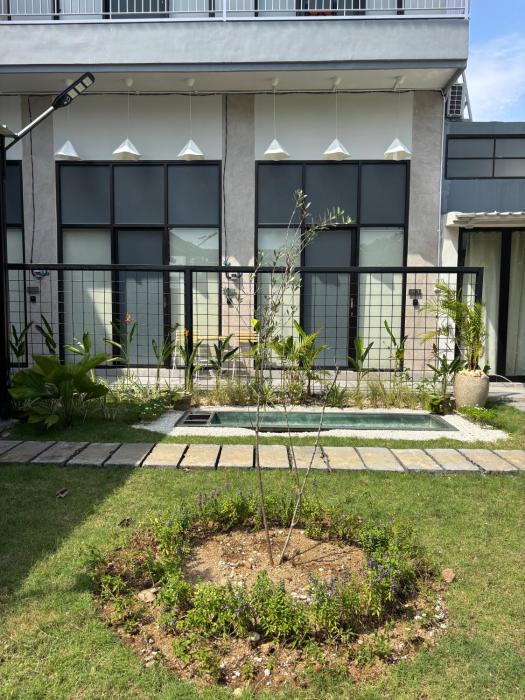 Olive Athena Guesthouse