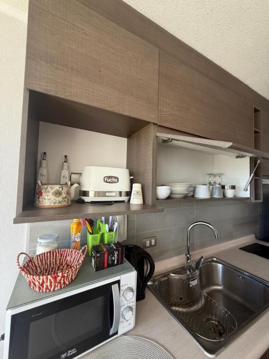 Vista Urbana y Laguna Concepción