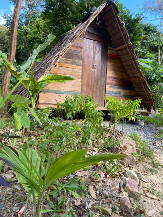 Cigare Bamboo Hut
