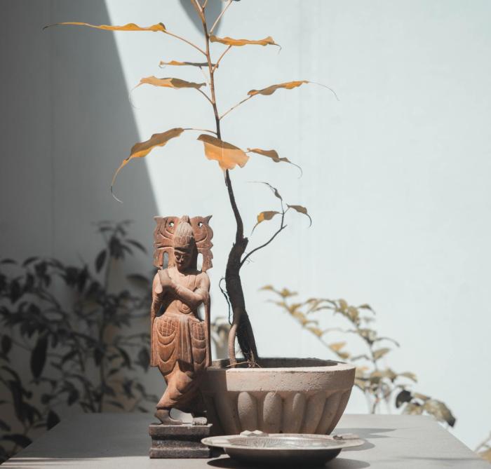 The Nayana Homestay